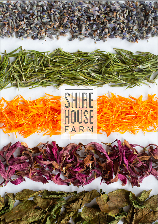 Our Story: How Shire House Farm Began on the Bellarine Peninsula