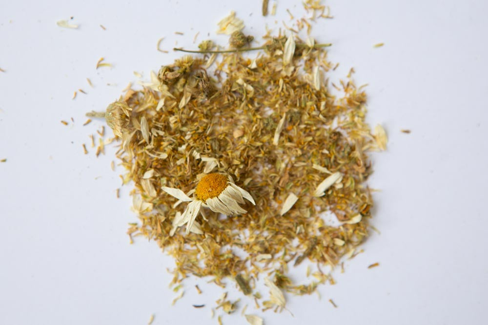 a pile of ground chamomile flower heads, with one flower head whole. On a while background