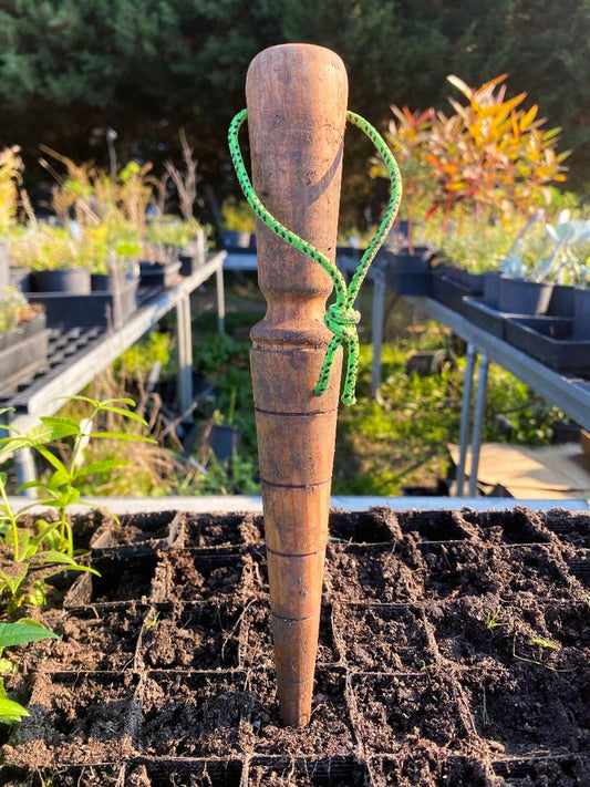 Wooden dibber standing upright in a small pot of soil
