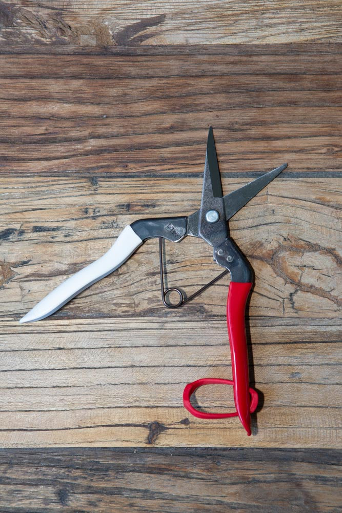 Stainless steel garden snips, with red and white handles, opened and on a wood surface