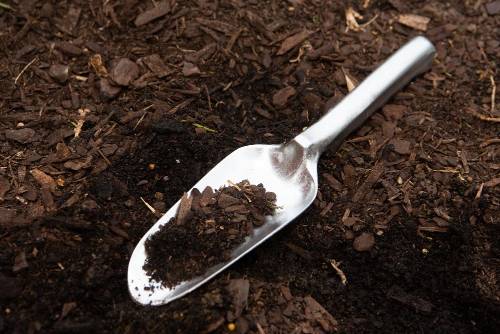 A metal trowel with some dirt in the scoop, resting on the soil