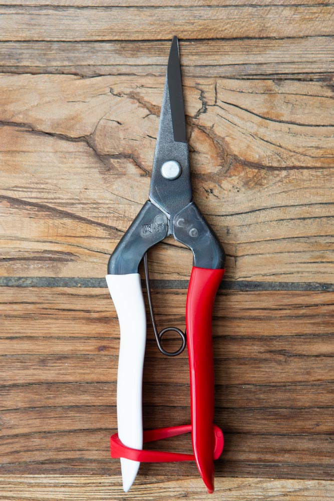 Stainless steel garden snips, clasped shut, with red and white handles, on a wood surface