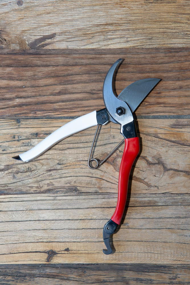 A pair of secateurs, unclasped, with red and white handles, on a wooden surface