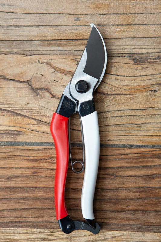 A pair of secateurs, with red and white handles, lying on a wooden surface